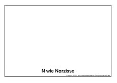 N-wie-Narzisse.pdf